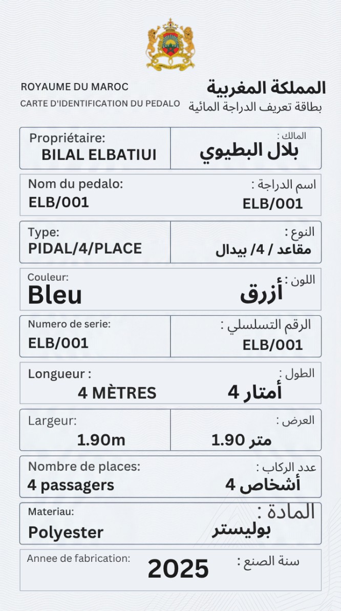 بطاقة معلوماتية – ELB 001
