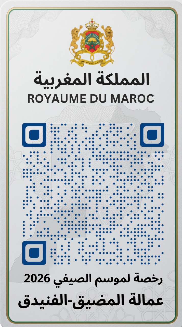 بطاقة معلوماتية – ELB 002
